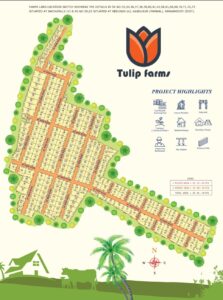 Lavoura Tulip Farms