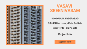 vasavi sreenivasam 