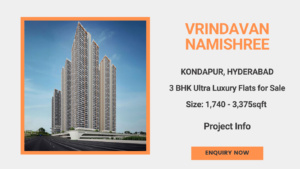 Namishree Vrindavan